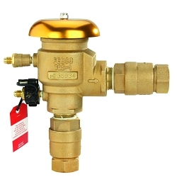 Febco® T765EBV 765 N-Pattern Pressure vacuum breaker with Freeze sensor, 1 in Nominal, NPT End Style, Quarter-Turn Ball Valve, Vacuum Breaker, Import