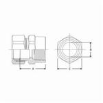 BrassCraft® 66-4-4X Tube Adapter, 1/4 in, Compression x FNPT, Brass, Domestic