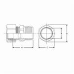 BrassCraft® 68-8-6X 68 Series Tube Reducing Adapter, 1/2 x 3/8 in Nominal, Compression x MNPT End Style, Brass, Import