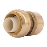 Sharkbite® U094LF Straight Connector, 1 in Nominal, FNPT End Style, Brass, Import