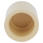 Charlotte CTS 02116 0600 Cap, 1/2 in Nominal, Socket End Style, CPVC, Domestic