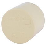 Charlotte CTS 02116 0800 Cap, 3/4 in Nominal, Socket End Style, CPVC, Domestic