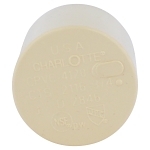 Charlotte CTS 02116 0800 Cap, 3/4 in Nominal, Socket End Style, CPVC, Domestic
