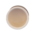 Charlotte CTS 02116 1000 Cap, 1 in Nominal, Socket End Style, CPVC, Domestic