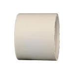 Charlotte CTS 02116 1000 Cap, 1 in Nominal, Socket End Style, CPVC, Domestic