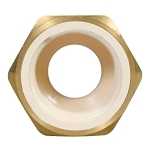 Charlotte CTS 02206B 1000 CTS 02206B Adapter, 1 in Nominal, Hub x FNPT End Style, SDR 11, CPVC, Brass Seal, Domestic
