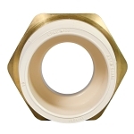 Charlotte CTS 02206B 1000 CTS 02206B Adapter, 1 in Nominal, Hub x FNPT End Style, SDR 11, CPVC, Brass Seal, Domestic