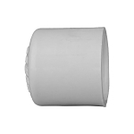 Charlotte PVC 02116 0600, 1/2 in nominal, Socket end style, SCH 40/STD, PVC, Domestic