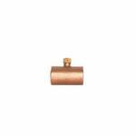 LEGEND 302-262NL Drain Coupling, 1/2 in Nominal, C End Style, Brass, Import