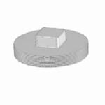 ROYAL P1154 P Series Raised Square Head, 4 in nominal, MNPT end style, SDR 35, PVC