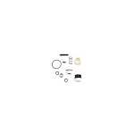 WATTS® 0887302 Total Repair Kit, For Use With Model 009/LF009 3/4 in Reduced Pressure Zone Assembly