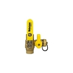 Webstone Ball Drain™ 50613 5061 Ball Valve, 3/4 in Nominal, C End Style, Forged Brass Body, Full Port, EPDM/PTFE Softgoods, Import
